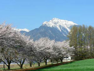 春の小淵沢