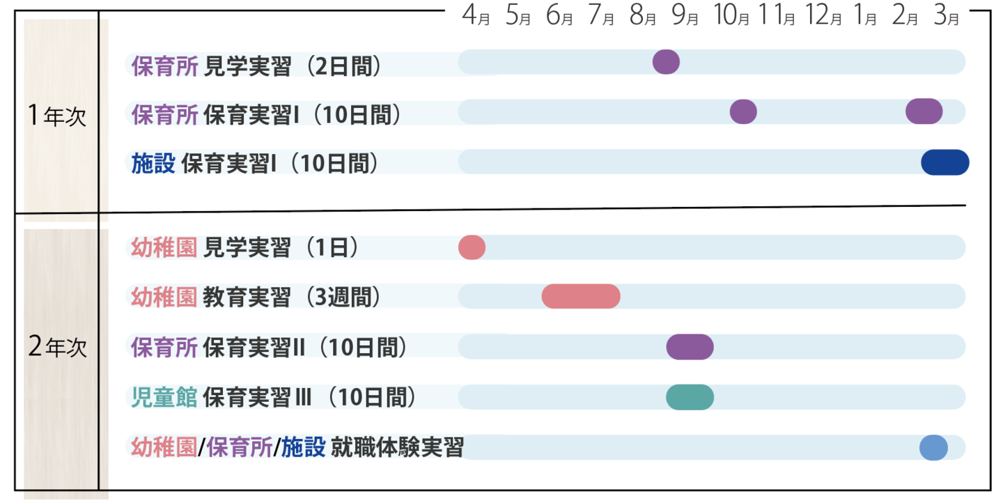 実習スケジュール